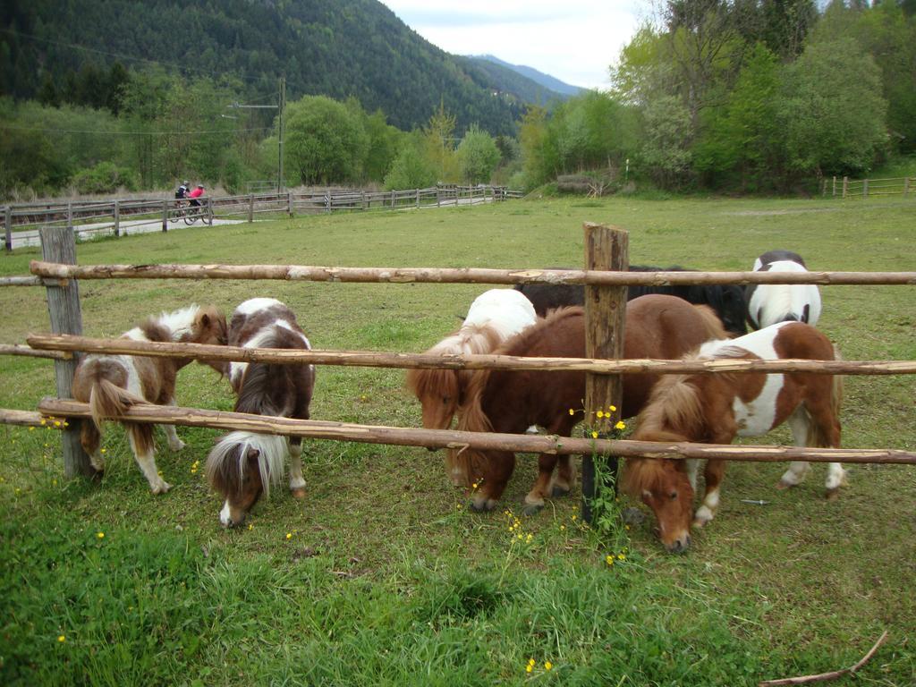 Winnewieser Vandoies Exteriér fotografie