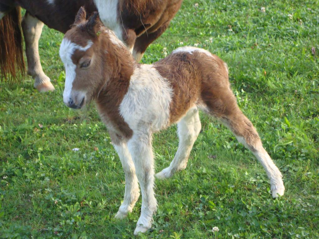 Winnewieser Vandoies Exteriér fotografie