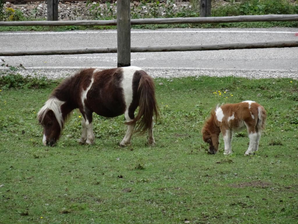 Winnewieser Vandoies Exteriér fotografie