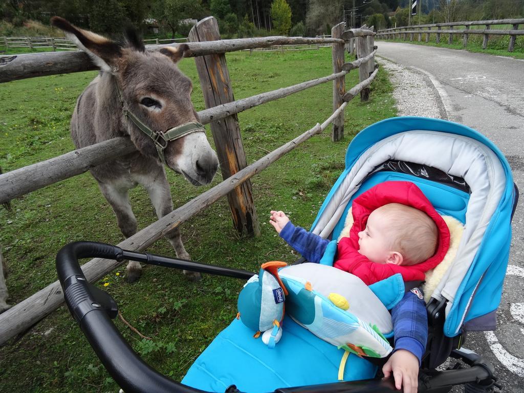 Winnewieser Vandoies Exteriér fotografie